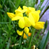 2305F 009 Marburg-Trier